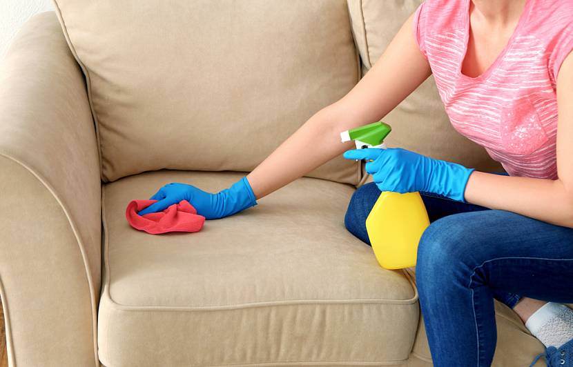 cleaning the couch from urine