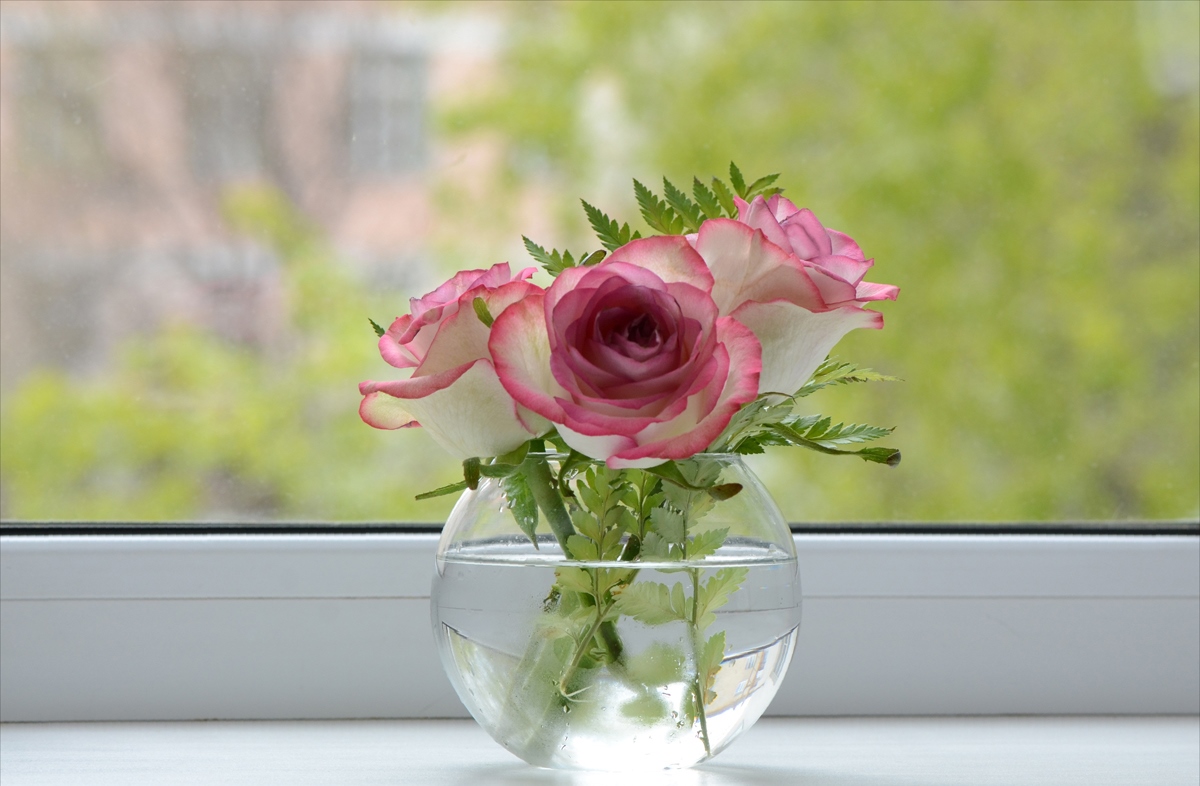 flowers in melt water