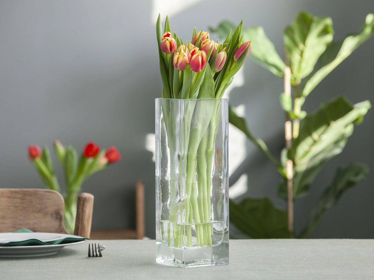 tulips in a vase