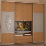 wardrobe design with TV