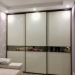 wardrobe design narrow mirror strip