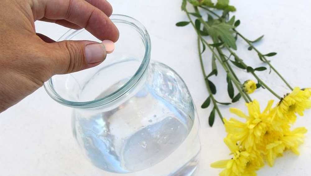 flower food in a vase