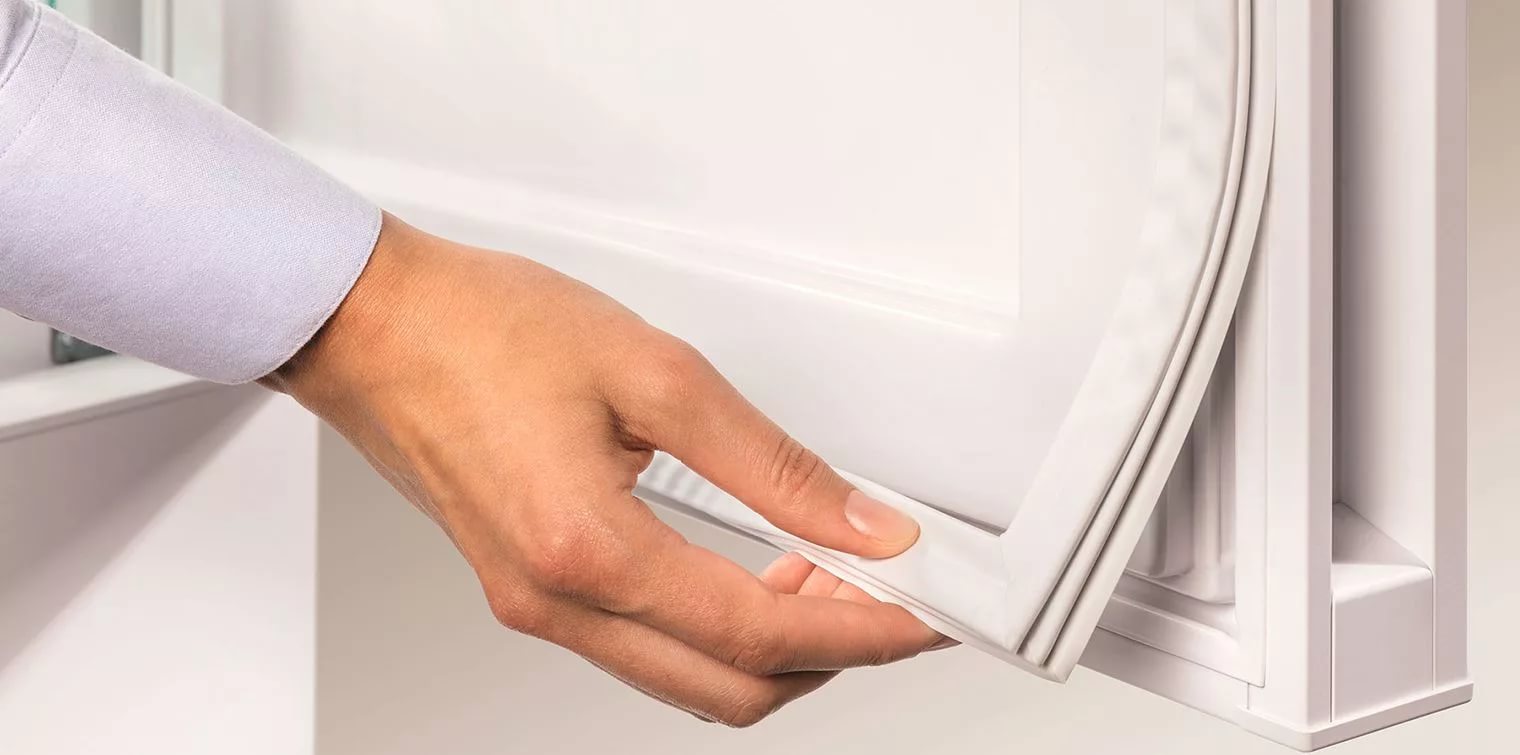 refrigerator in the kitchen