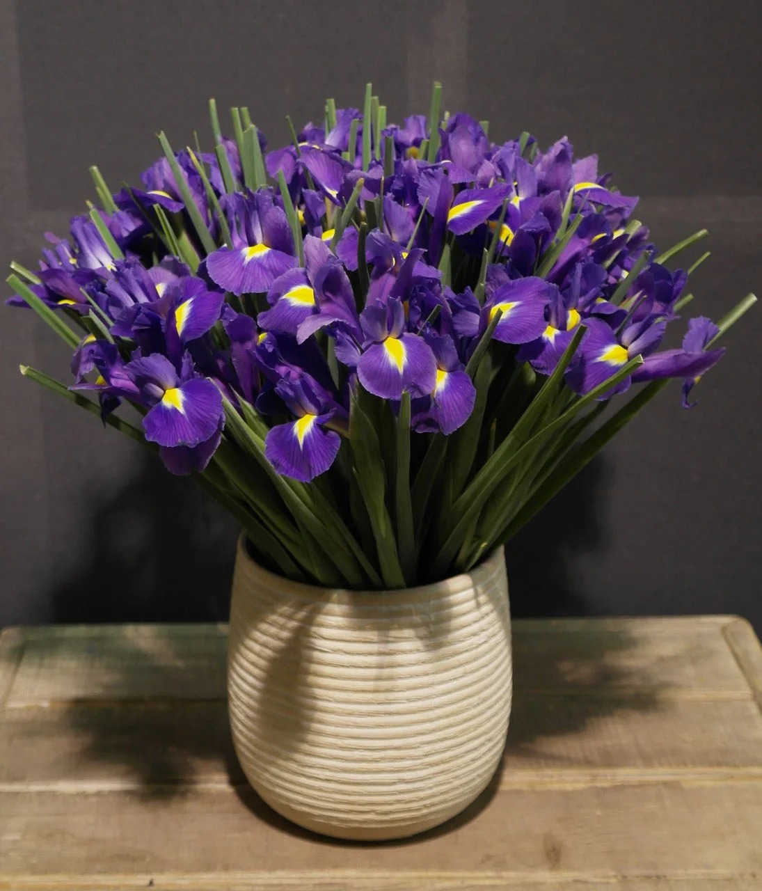 irises in a vase