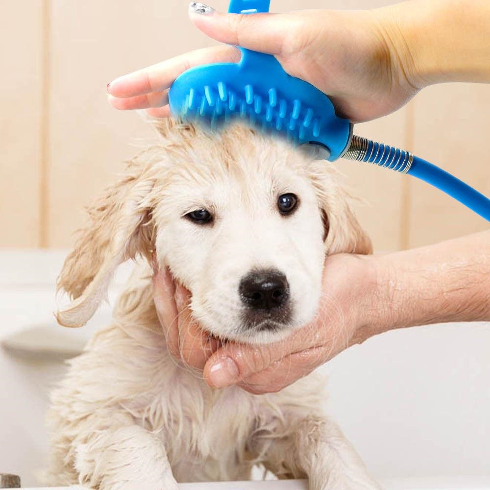 the dog is being brushed