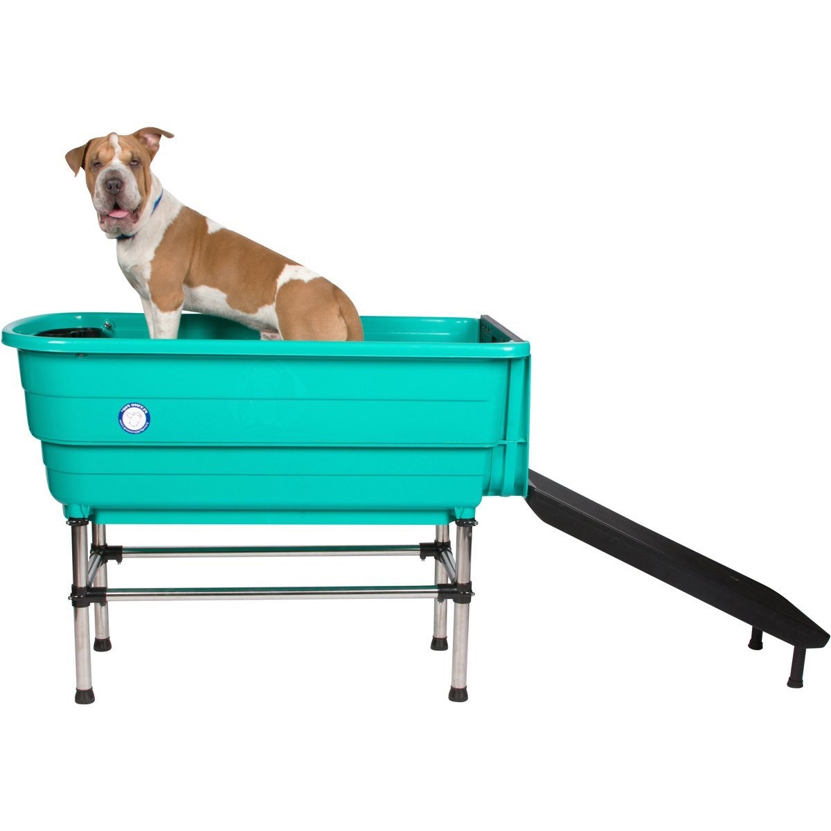 dog in a green bath