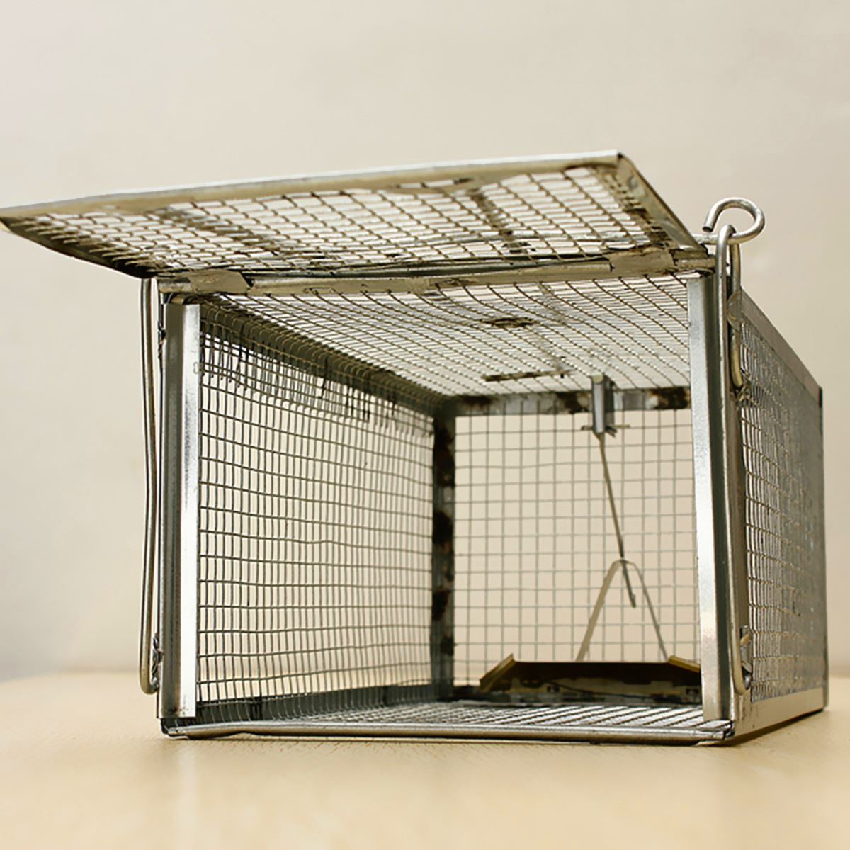 cage trap