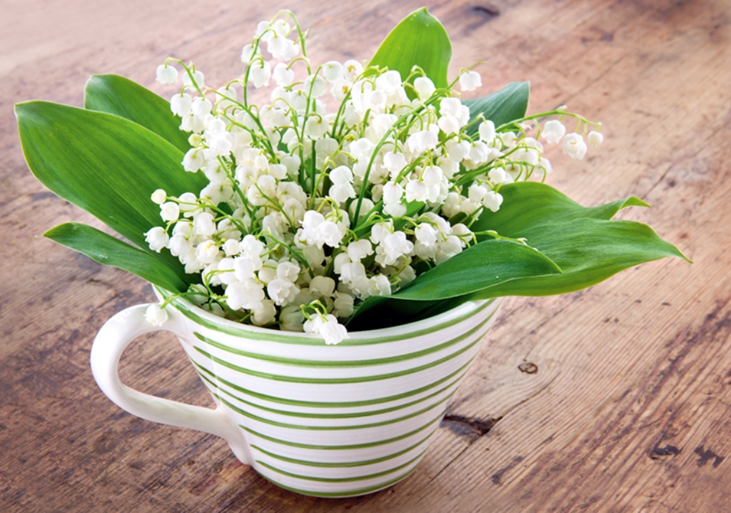 lilies of the valley in a vase