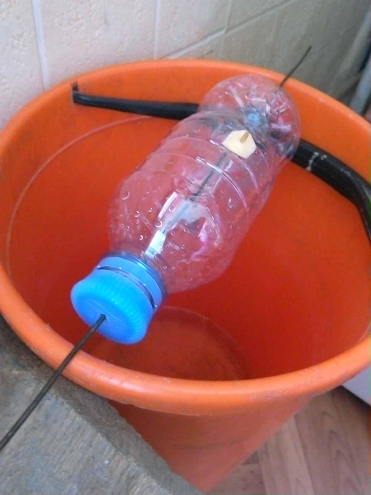 bucket bottle trap