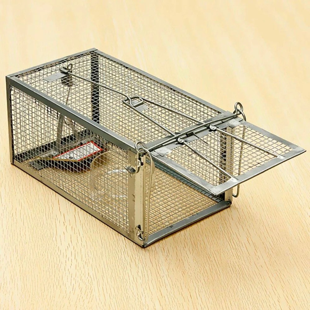 rat traps