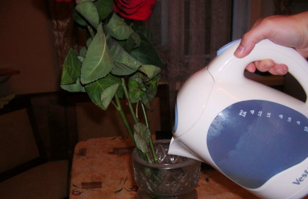 how to revive flowers with boiling water