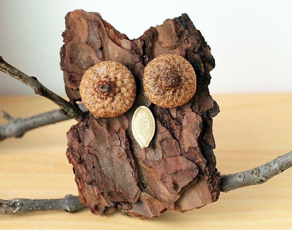 owl bark craft