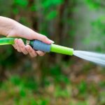 watering with a hose