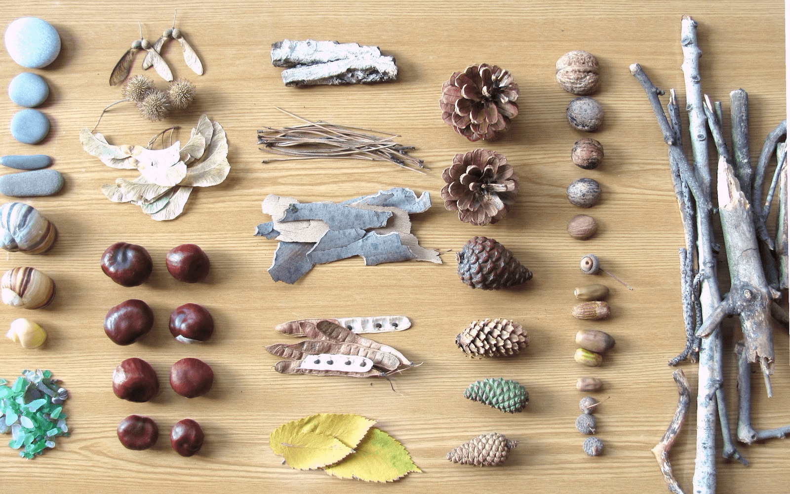 natural materials for crafts