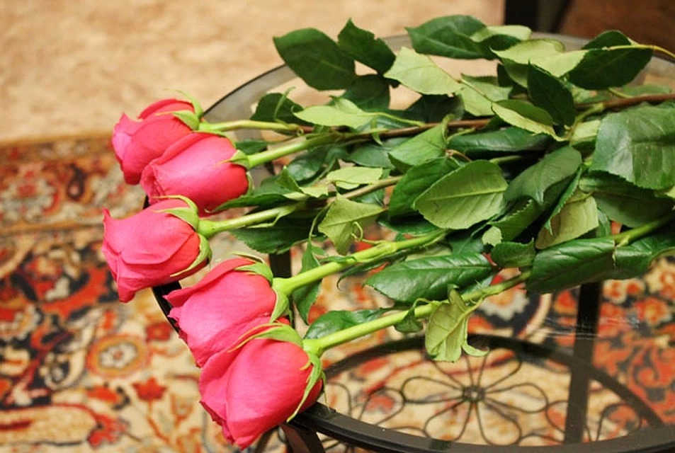 roses at home