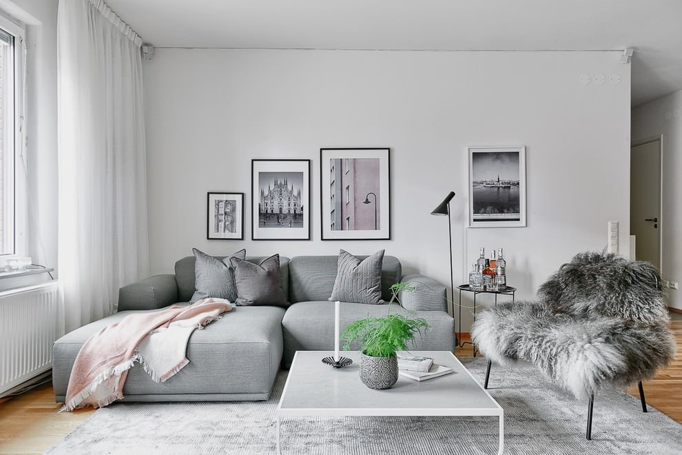 gray sofa