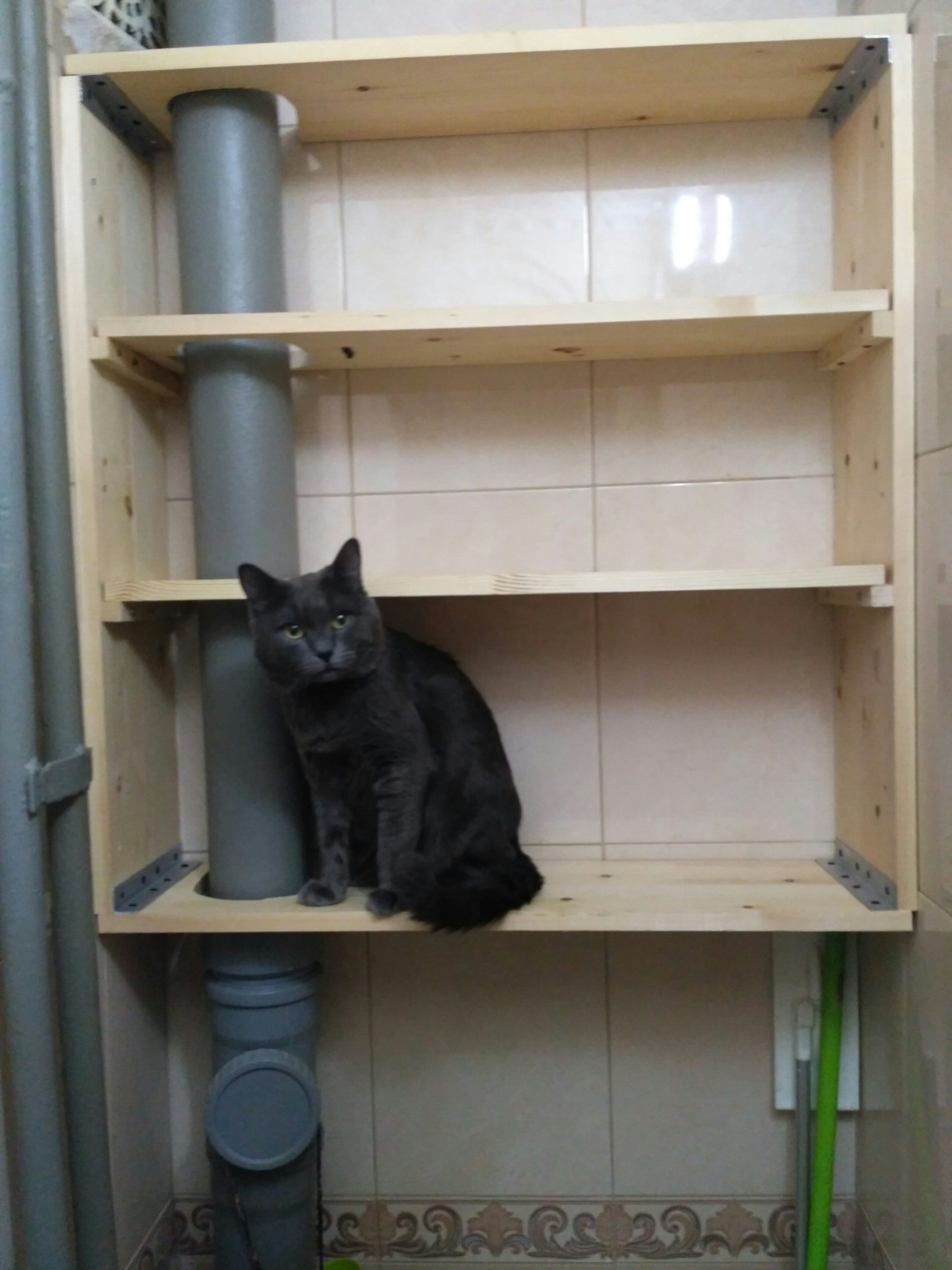 installation of shelves in a toilet cabinet