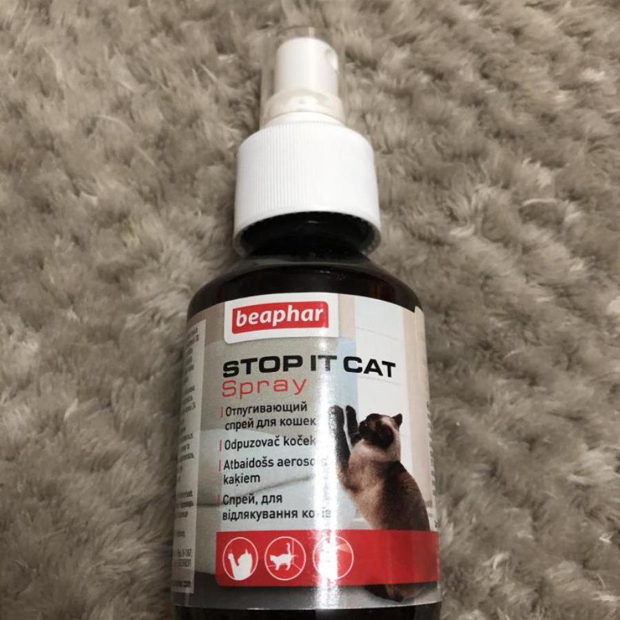 spray stop it cat