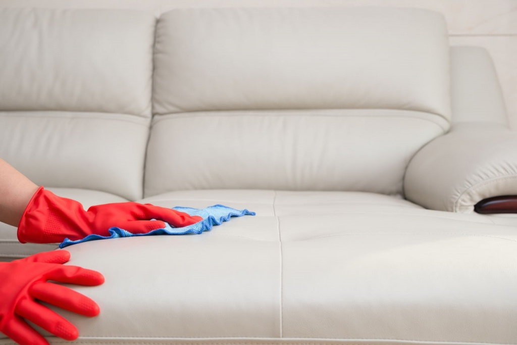 cleaning the couch from urine