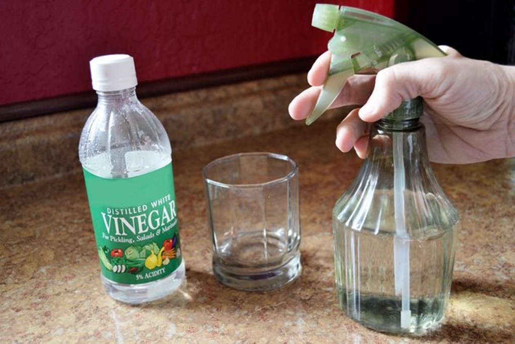 vinegar solution in a spray bottle