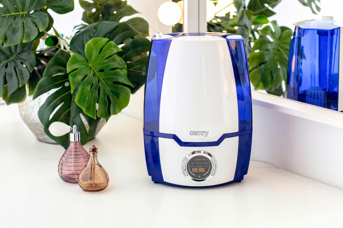 humidifier with ionizer