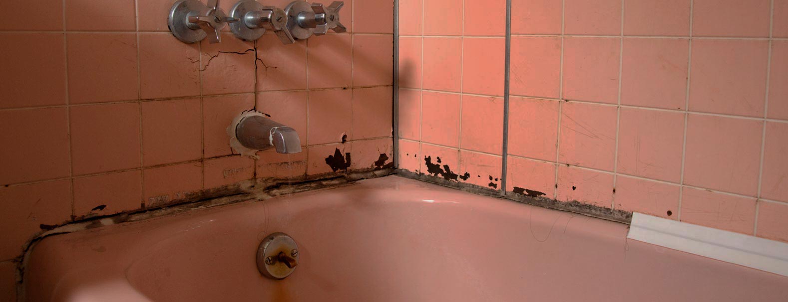 mold and mildew in the bathroom