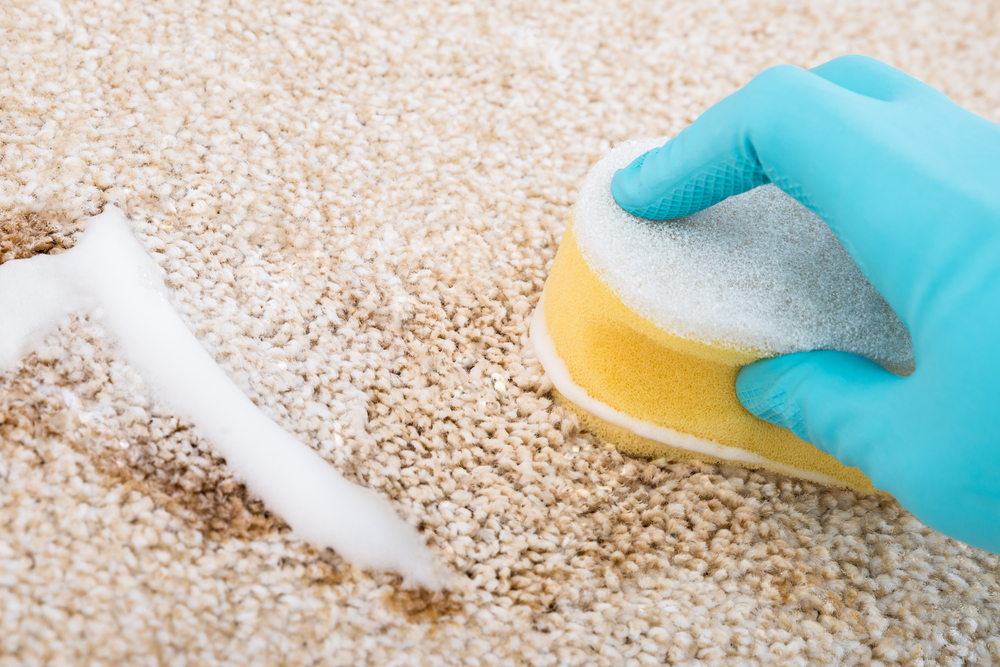 foam carpet cleaning