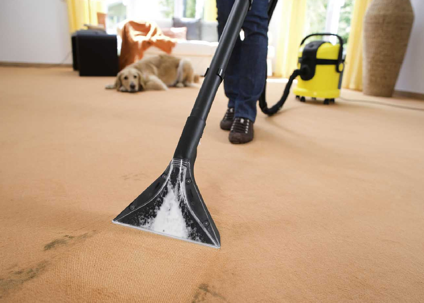 cleaning carpet with a vacuum cleaner