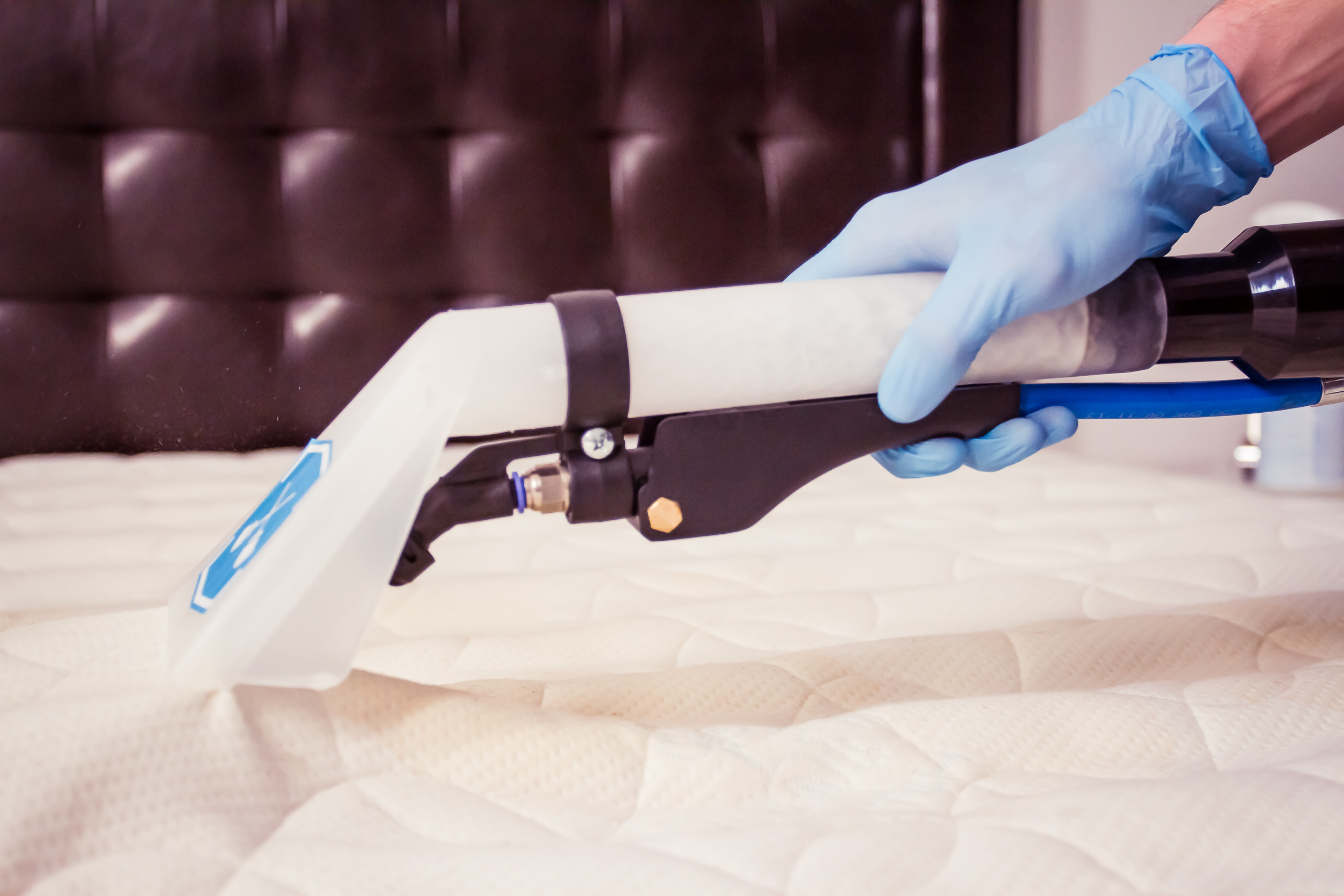 mattress cleaning photo