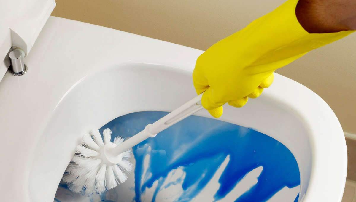 The toilet is sparkling with cleanliness