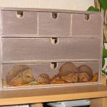 decoupage chest of drawers with hedgehogs