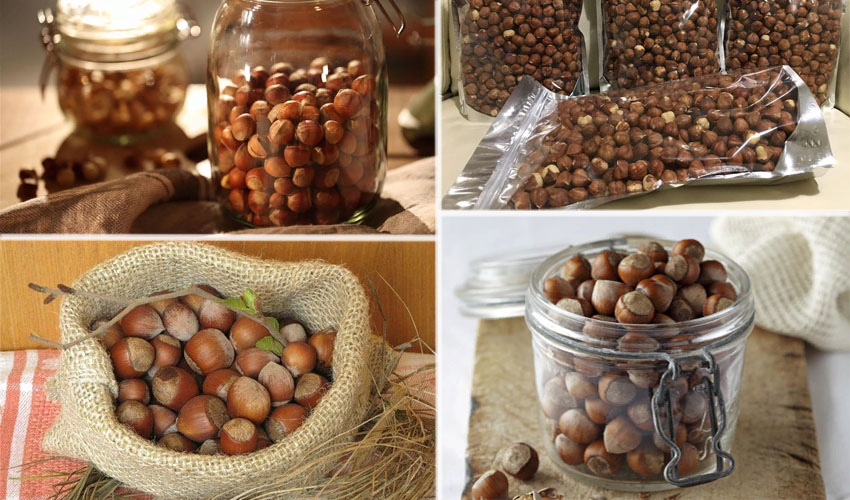 hazelnut storage