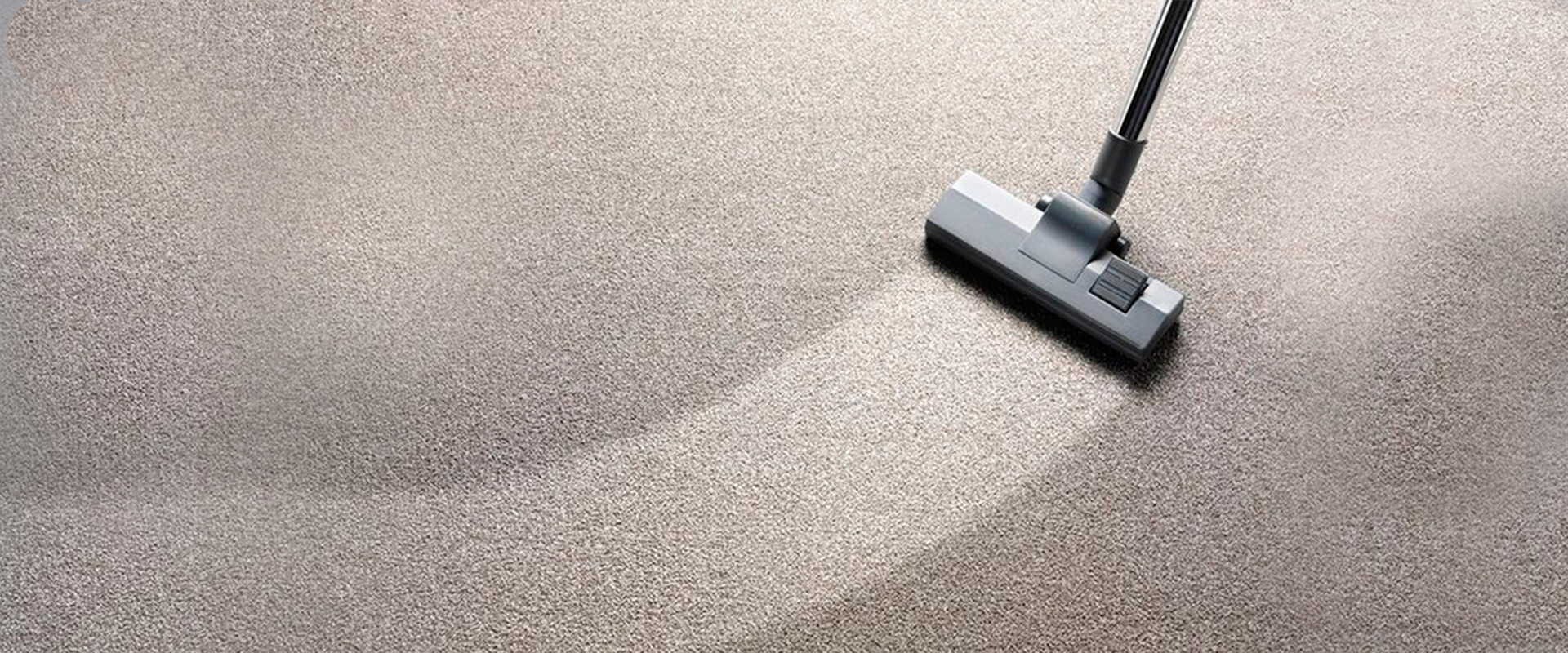 vacuum the carpet