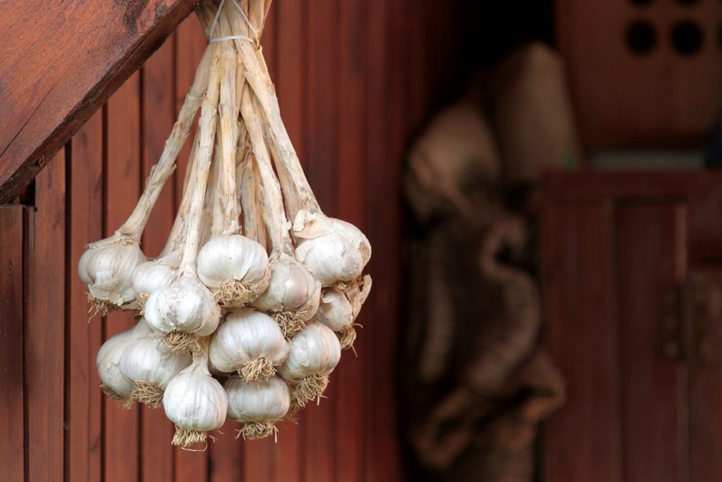 storage space for garlic