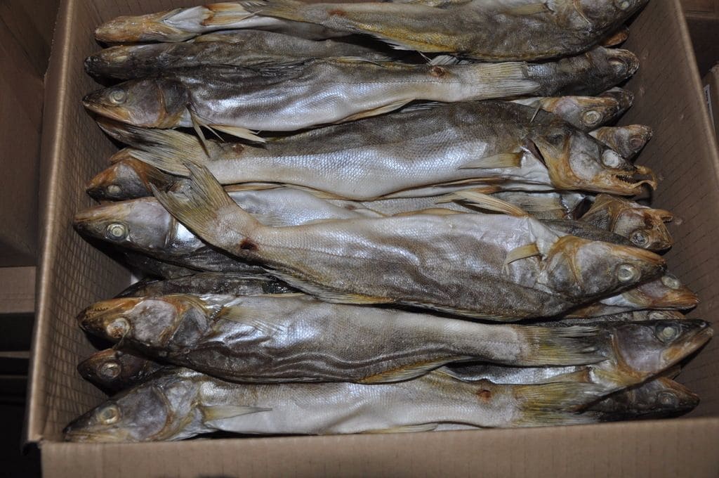 storage of dried fish in containers