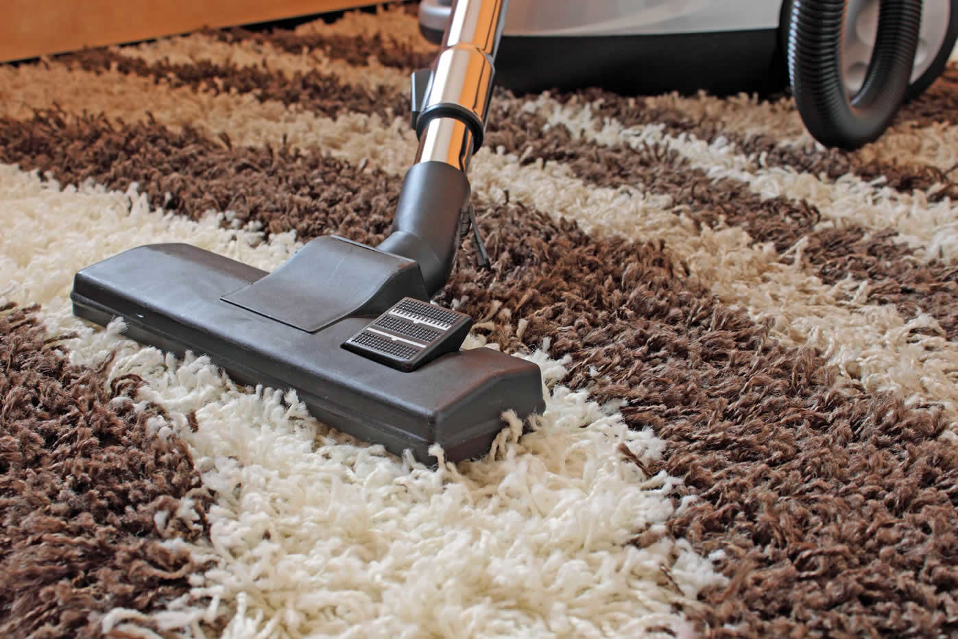 long-pile carpet care