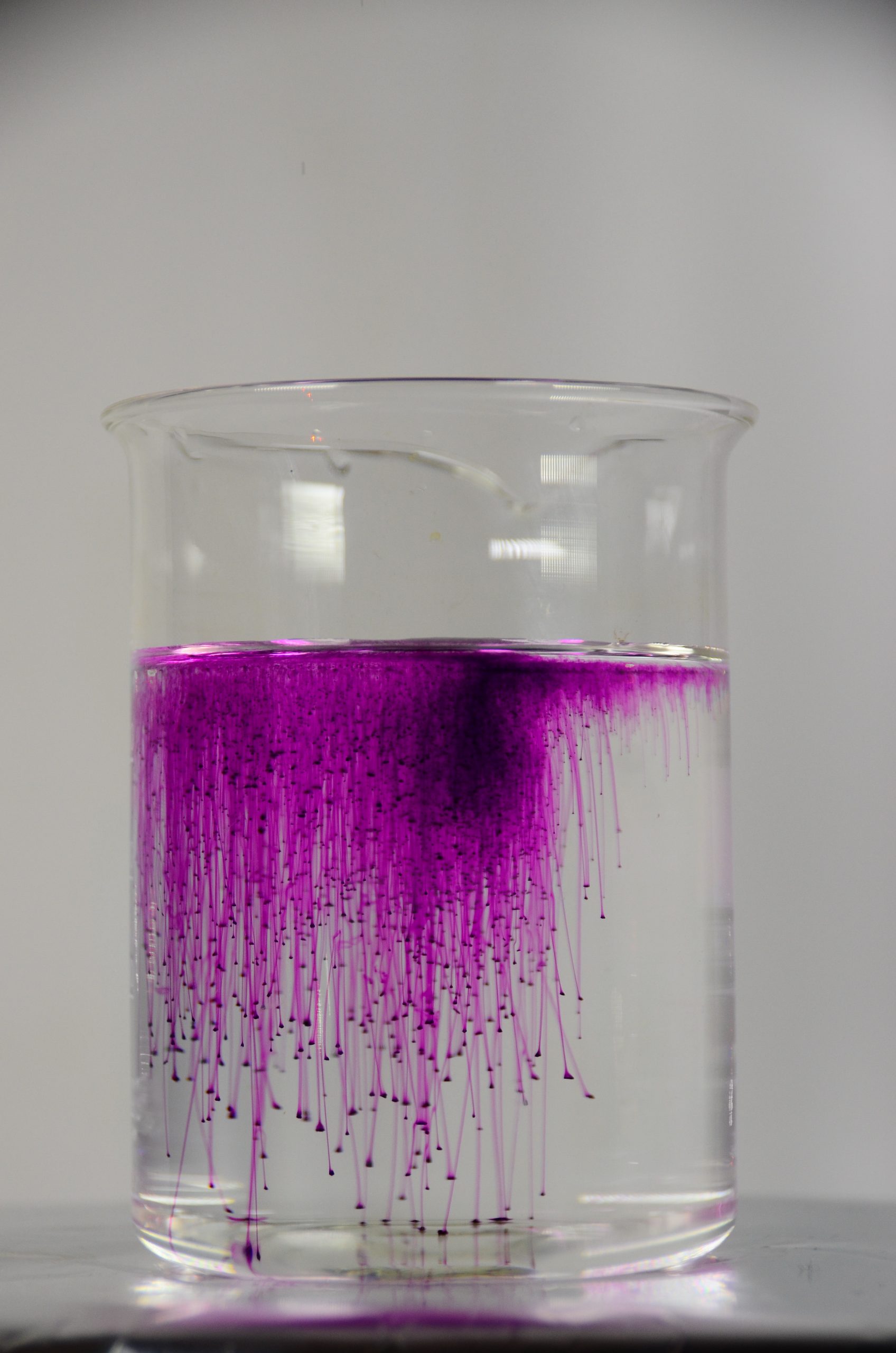 potassium permanganate solution from fruit flies