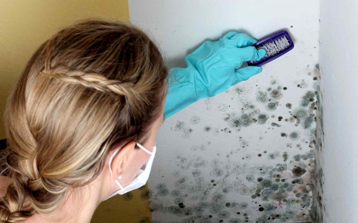 remove mold