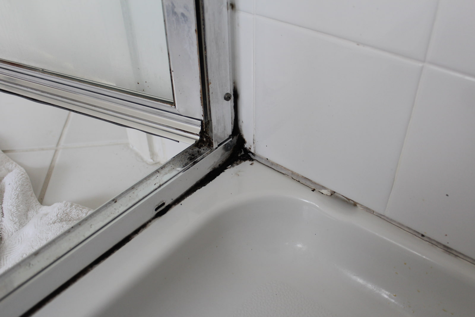 causes of mold in the bathroom