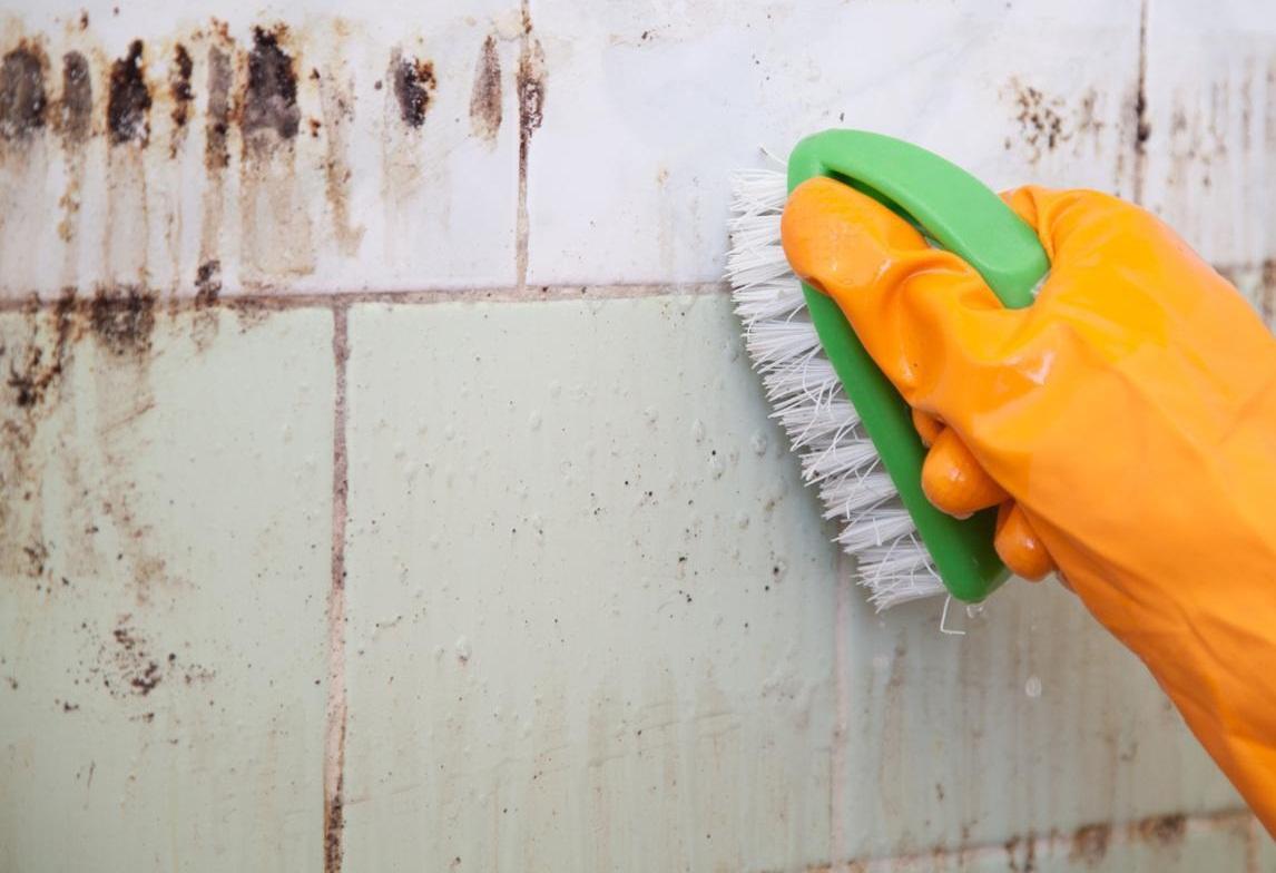 all popular ways to remove mold