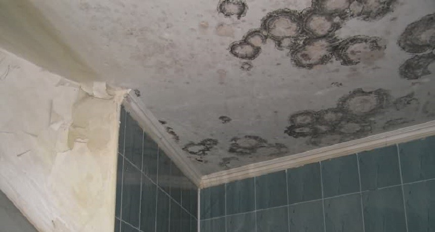 mold on the ceiling in the bathroom