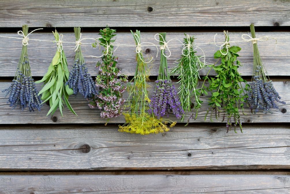 fragrant herbs in the house