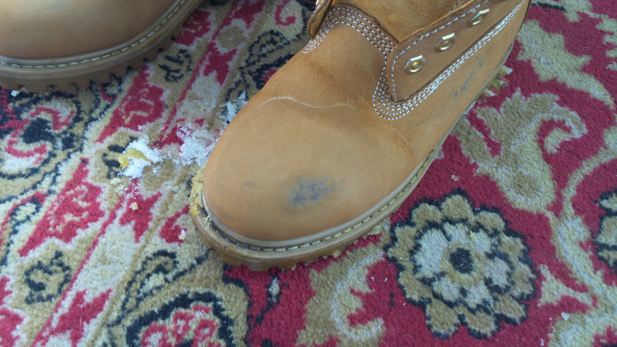 removing mold from shoes