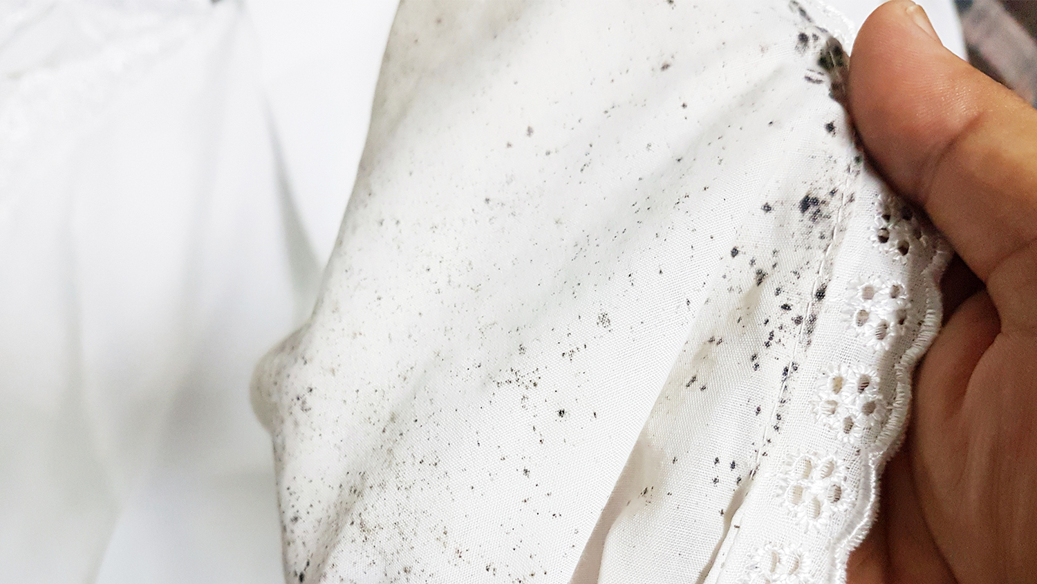 mold on white fabric