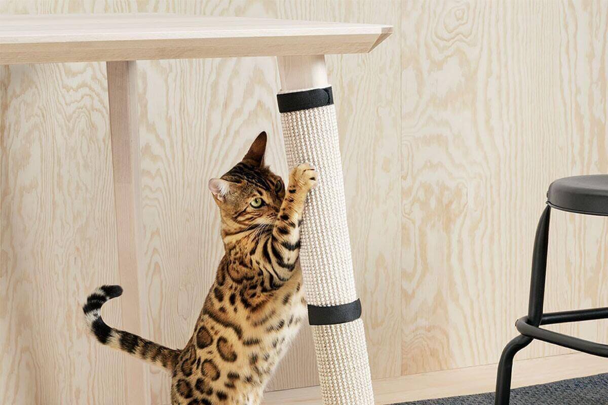  make a scratching post