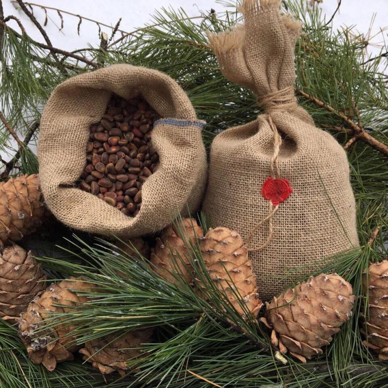 storage of pine nuts