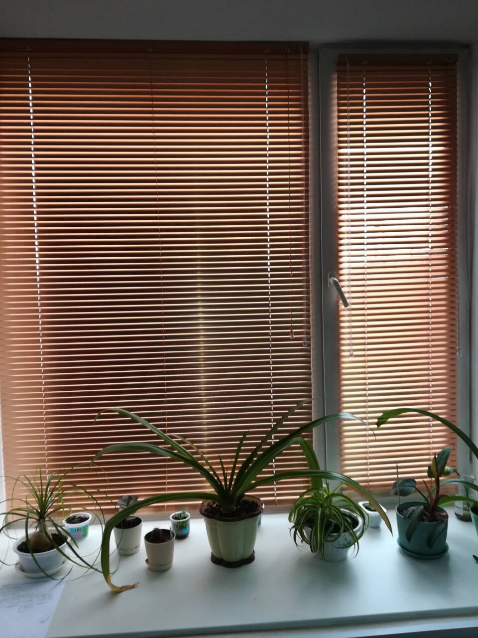 closed blinds