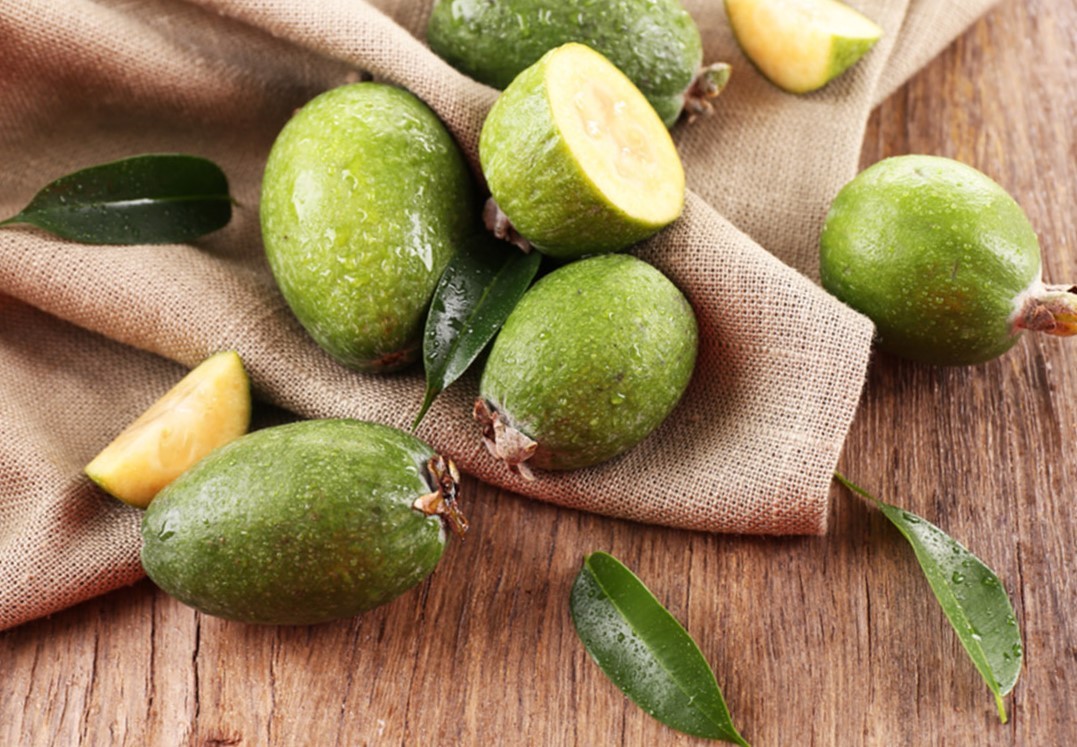 healthy feijoa berry