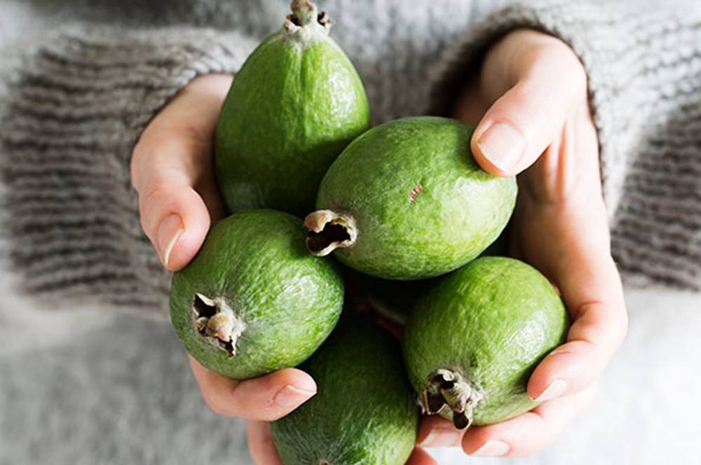 avantages feijoa pour hommes et femmes