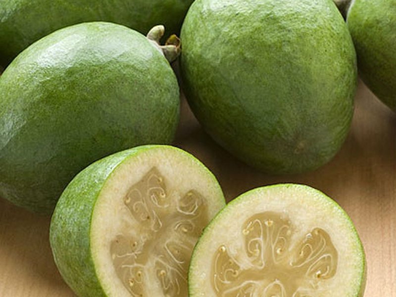 how to store feijoa